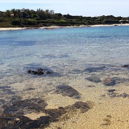 Apartament Domo In Terranoa, Old Town Olbia Zewnętrze zdjęcie